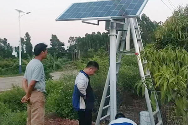 雷州市芒果產業園綜合數字化公共服務平臺項目農業四情監測系統案例